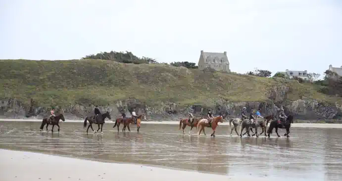 Où faire une balade à cheval autour du golfe du Morbihan ?